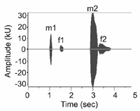 amplitude